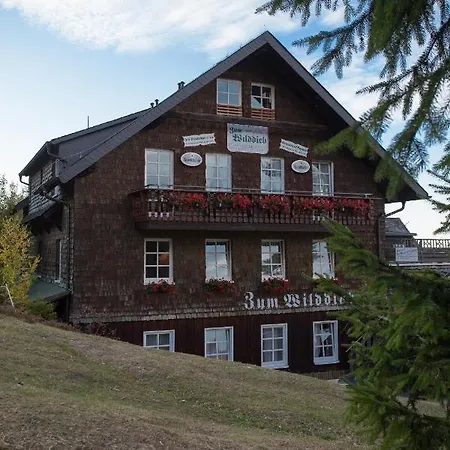 Berggasthof Zum Wilddieb Hotell Willingen (Upland)