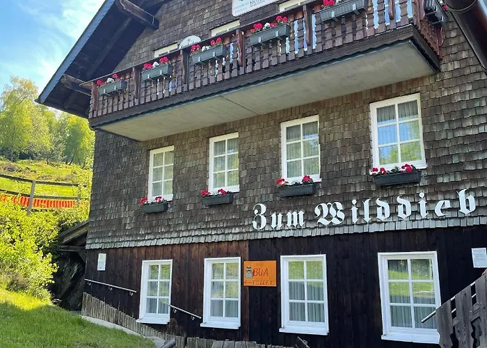 Hotel Berggasthof Zum Wilddieb Willingen (Upland)